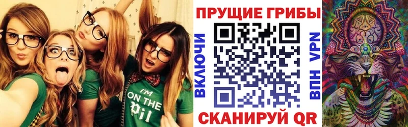 Псилоцибиновые грибы Psilocybe  дарнет шоп  Верхнеуральск 
