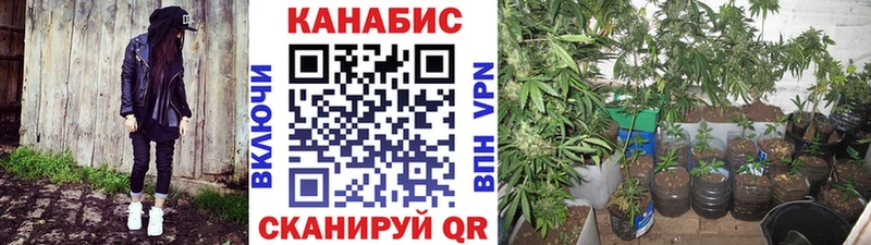 купить закладку Верхнеуральск Бошки Шишки VHQ